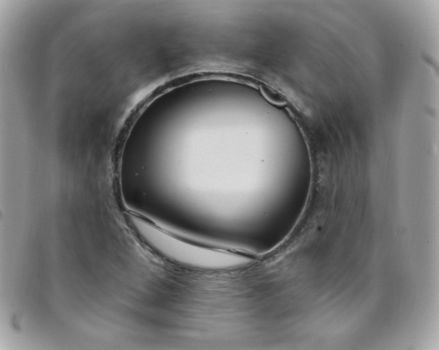 X0000097751264200803211644