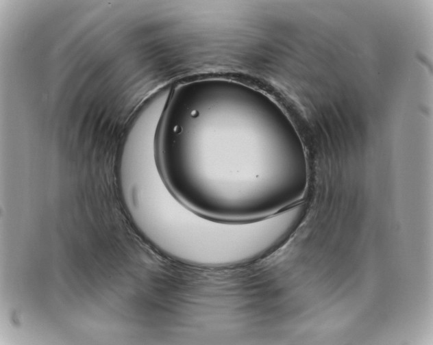 X0000097751265200803211644