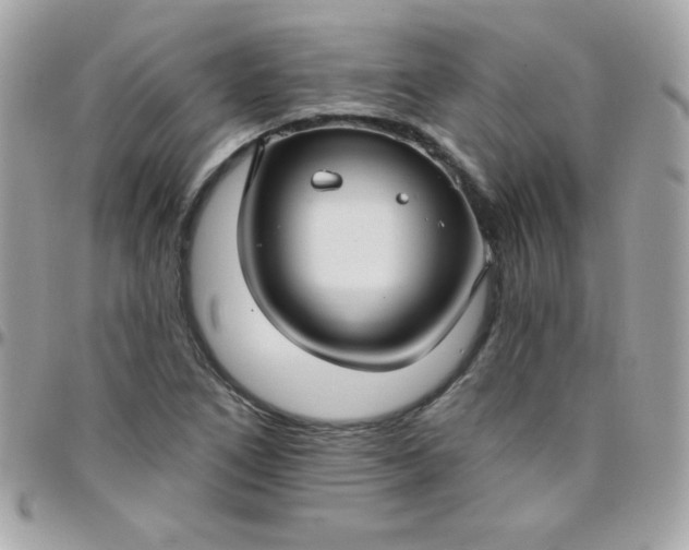 X0000097751266200803211644