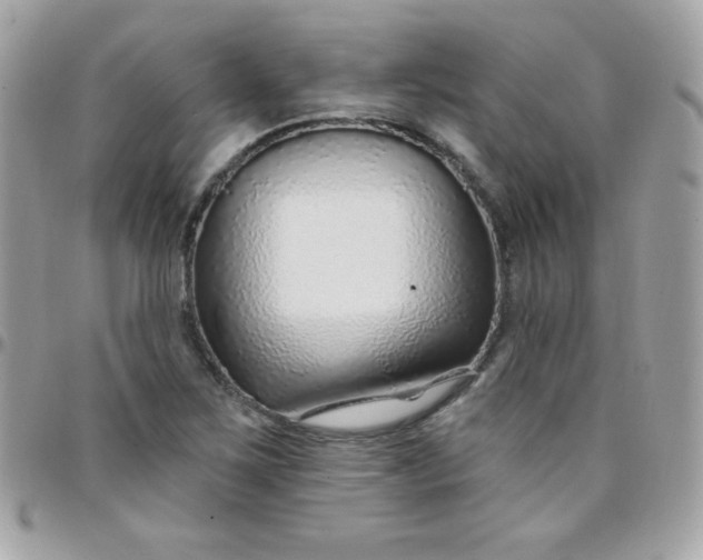 X0000097751267200803211644