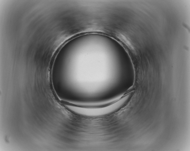 X0000097751268200803211644