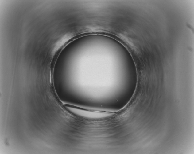 X0000097751269200803211644