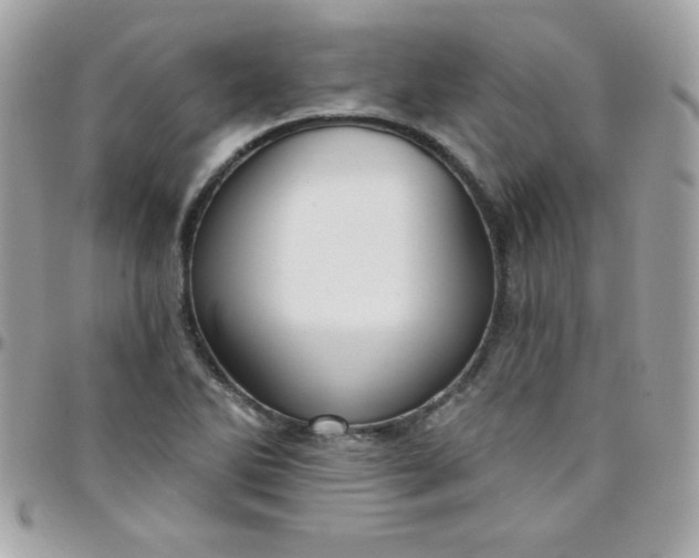 X0000097751270200803211644