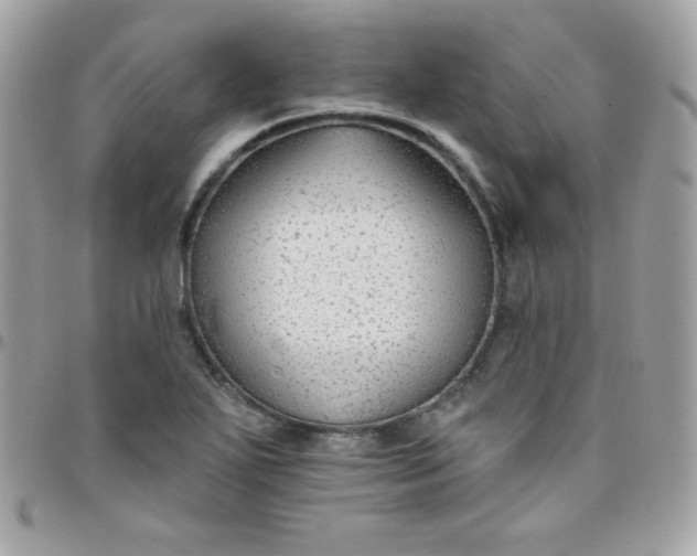 X0000097751271200803211644