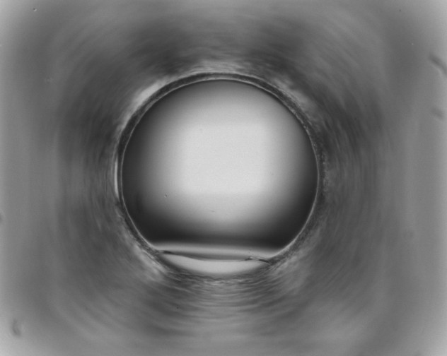 X0000097751272200803211644