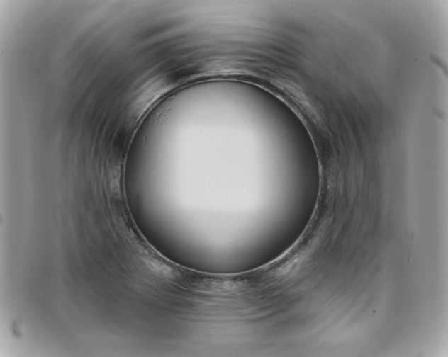 X0000097751273200803211644