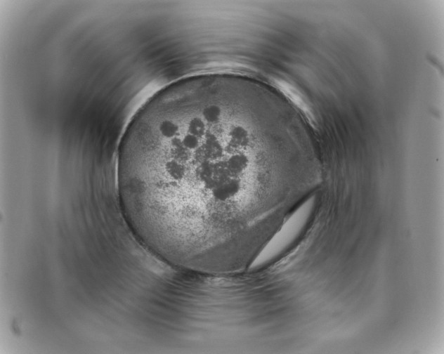 X0000097751275200803211644