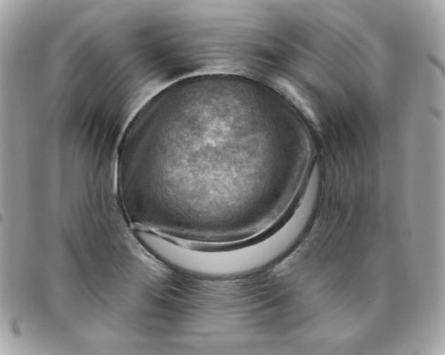 X0000097751276200803211644