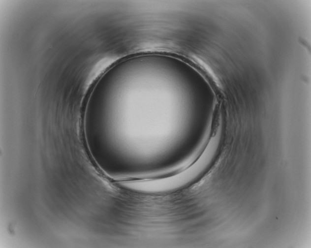 X0000097751277200803211644