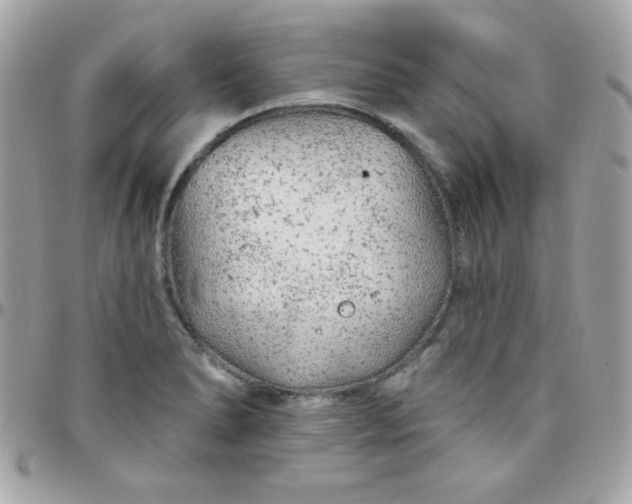 X0000097751278200803211644