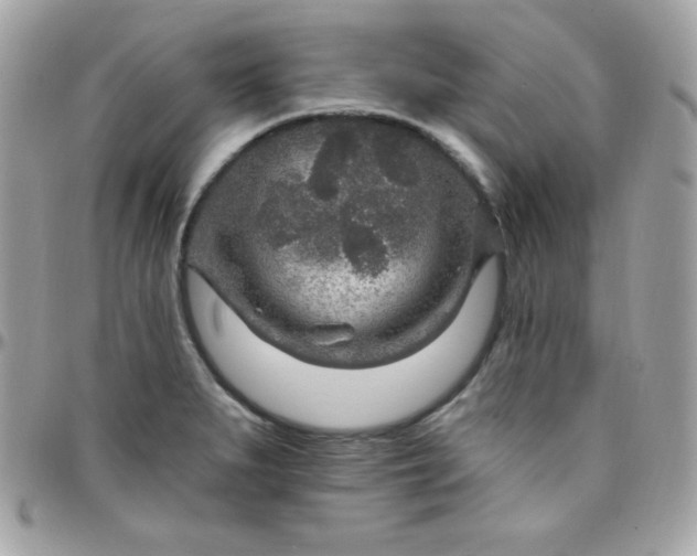 X0000097751279200803211644