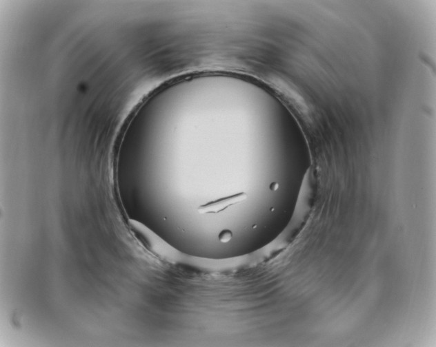 X0000097751280200803211644