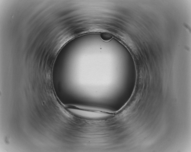 X0000097751281200803211644