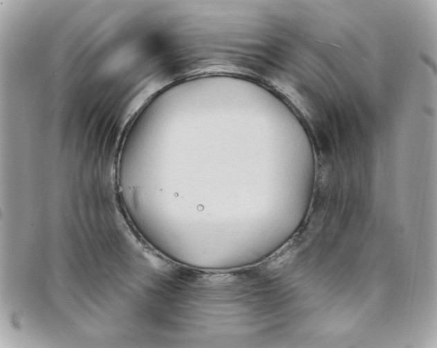 X0000097751282200803211644