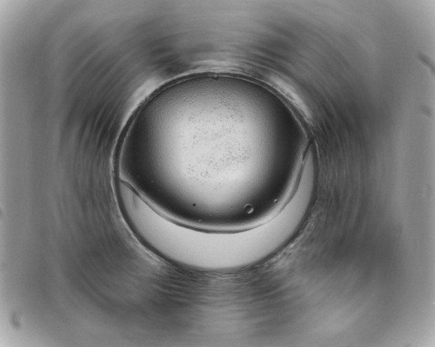 X0000097751283200803211644