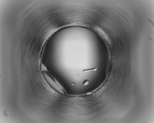 X0000097751284200803211644