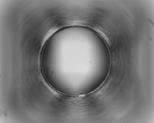 X0000097751285200803211644