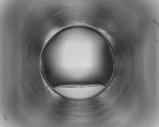 X0000097751287200803211644