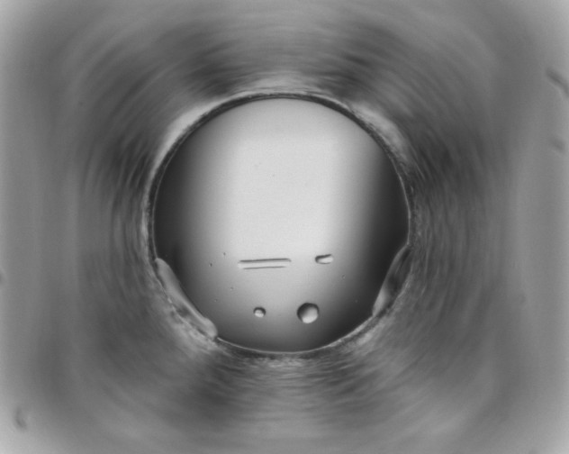 X0000097751288200803211644