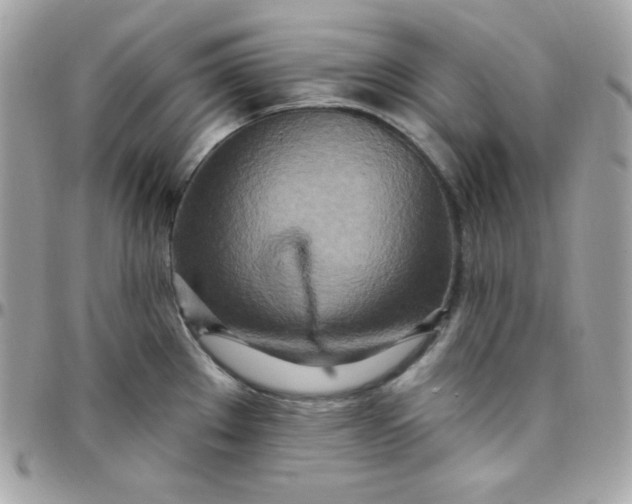 X0000097751289200803211644