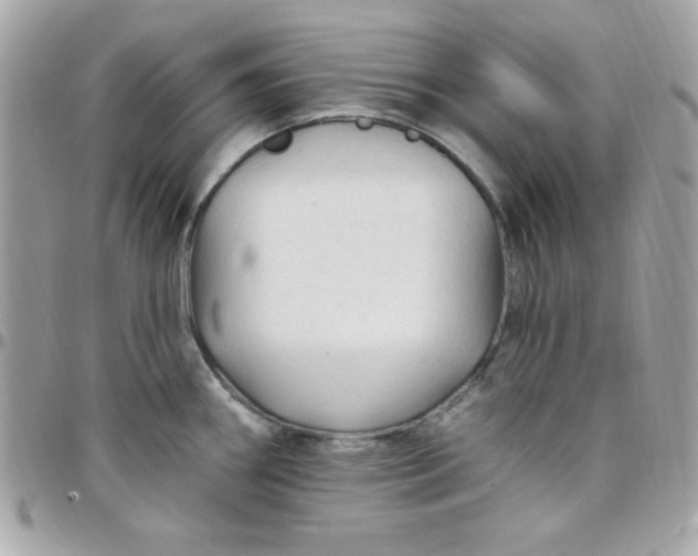 X0000097751290200803211644