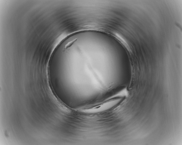 X0000097751291200803211644