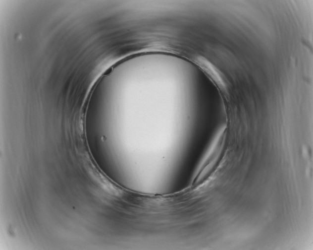 X0000097751292200803211644