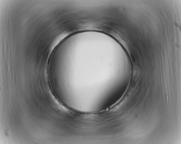 X0000097751293200803211644