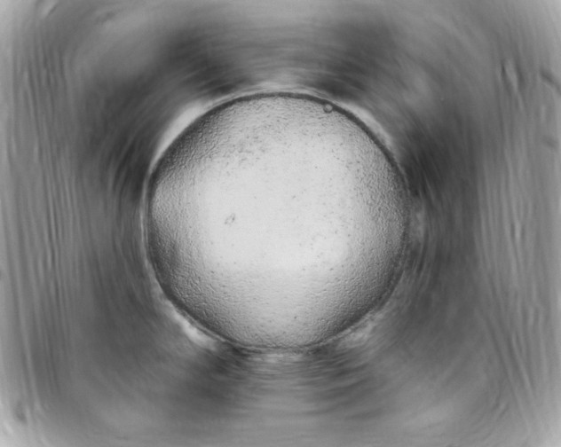 X0000097751294200803211644