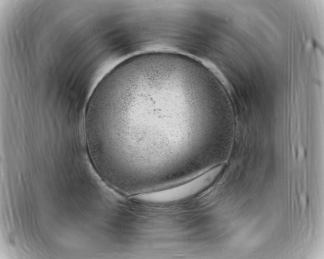 X0000097751295200803211644