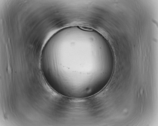 X0000097751296200803211644