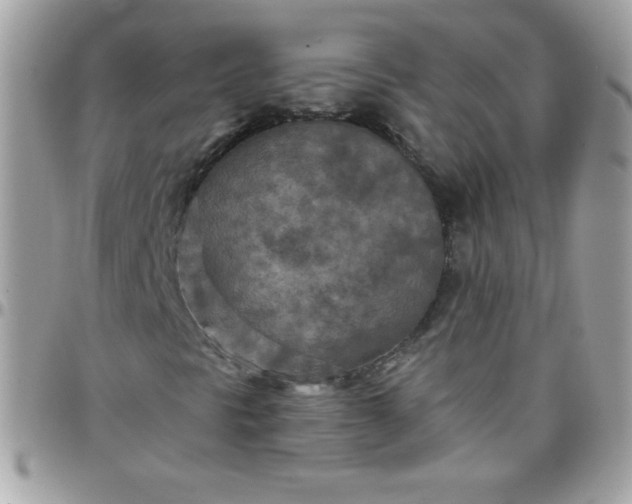 X0000097751297200803211643