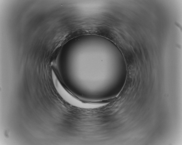 X0000097751298200803211643