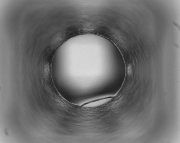 X0000097751299200803211643