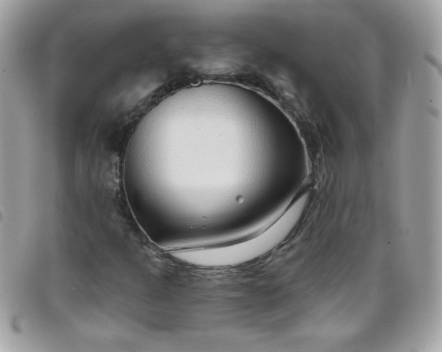 X0000097751301200803211643