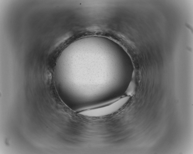 X0000097751302200803211643