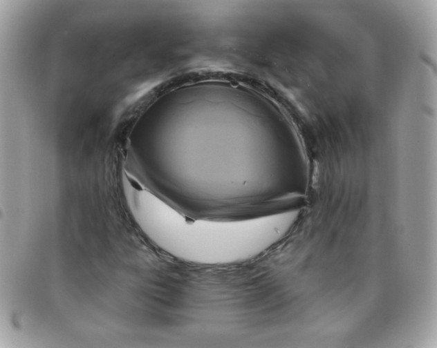 X0000097751303200803211643