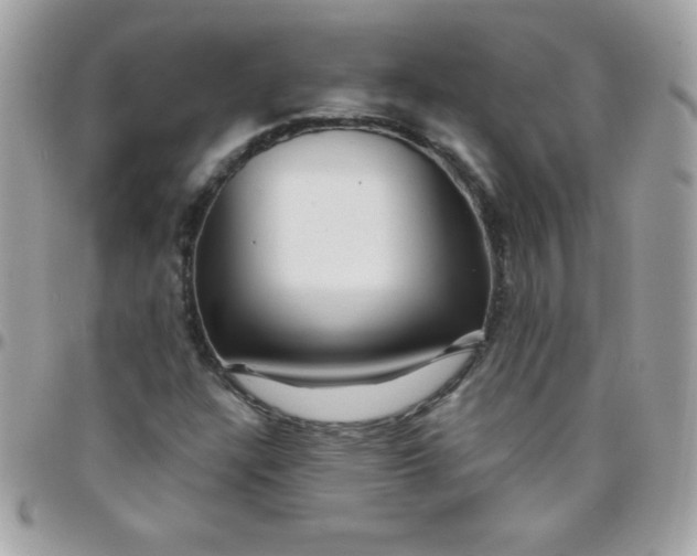 X0000097751304200803211643