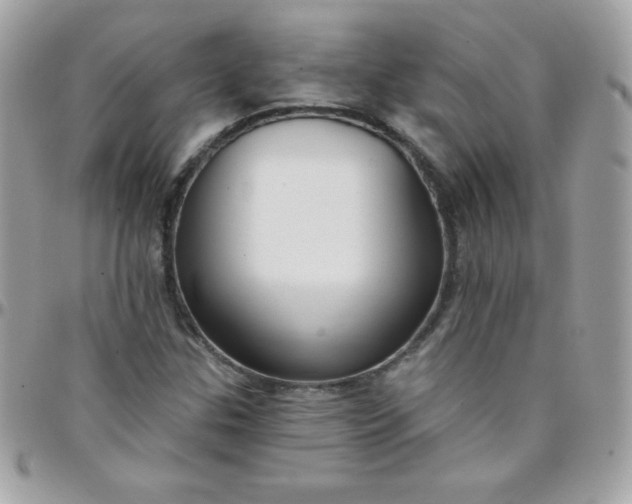 X0000097751307200803211643