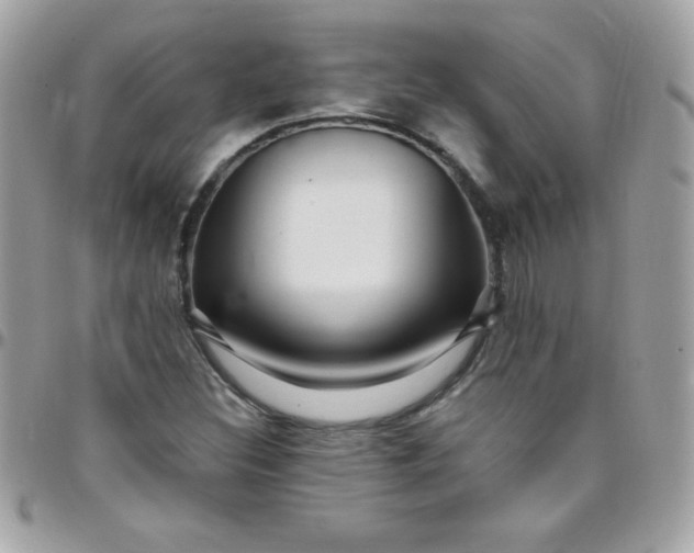 X0000097751308200803211643