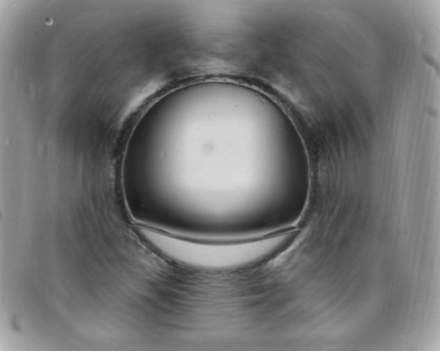 X0000097751309200803211643