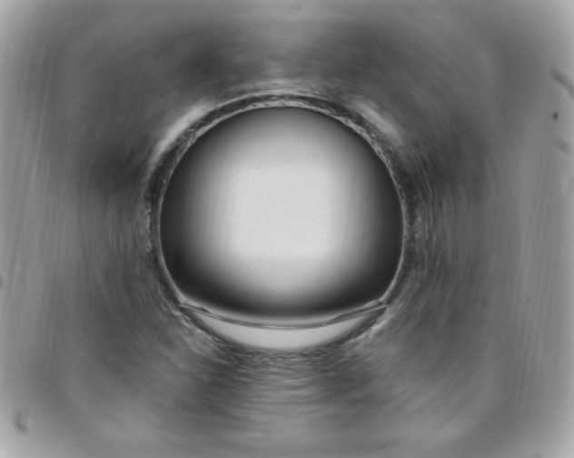 X0000097751310200803211643