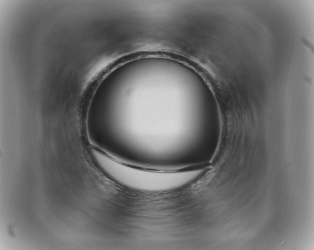 X0000097751311200803211643