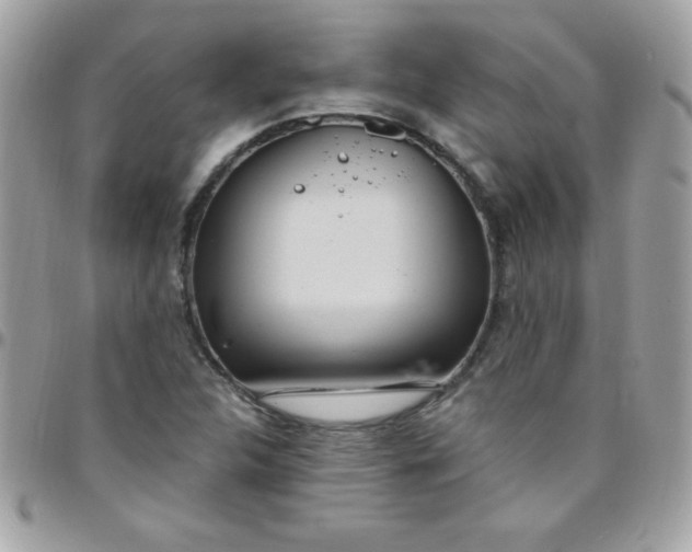 X0000097751312200803211643