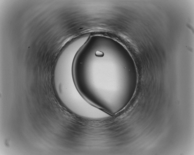 X0000097751313200803211643