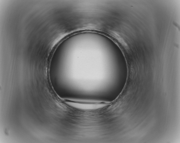 X0000097751316200803211643