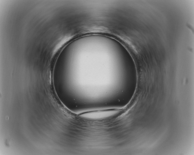 X0000097751317200803211643