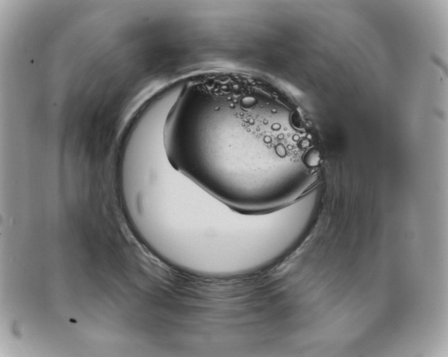 X0000097751318200803211643