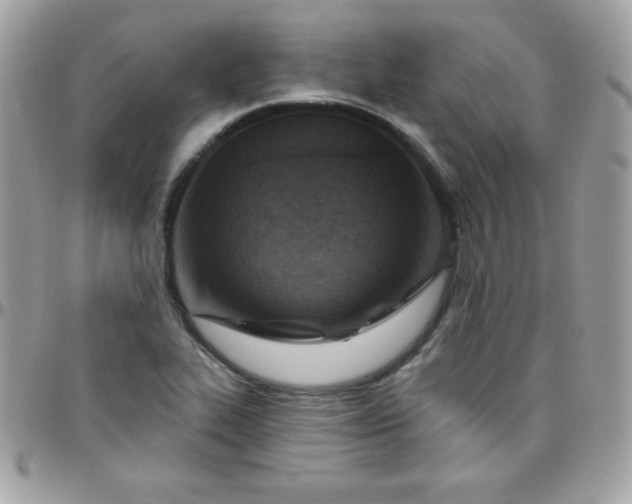 X0000097751319200803211643