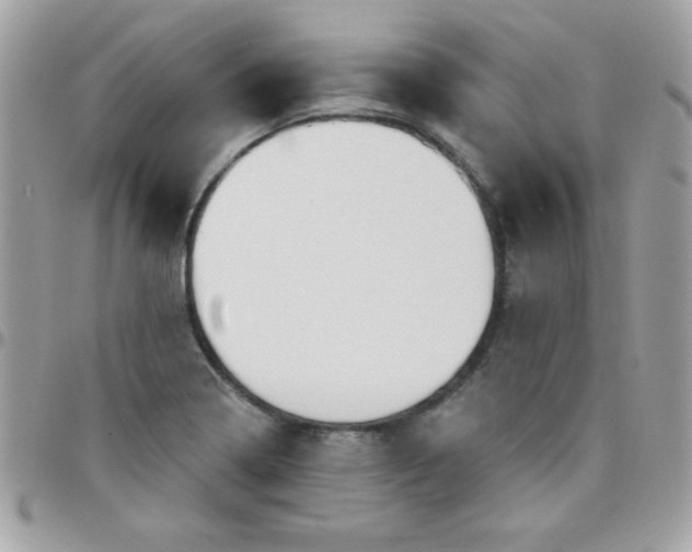 X0000097751322200803211643